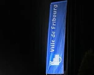website logo
