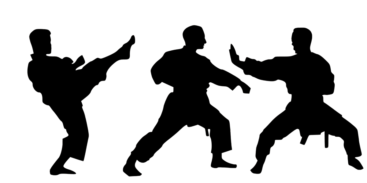 Le Kata : L'Art de la Maîtrise