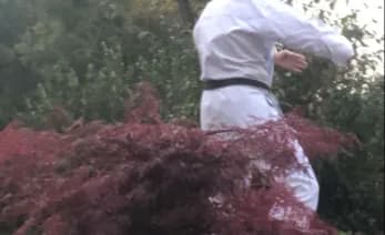 Vivre le moment présent