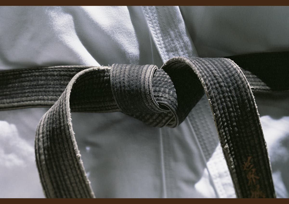 ShoDan ! L’aboutissement ou le commencement ?